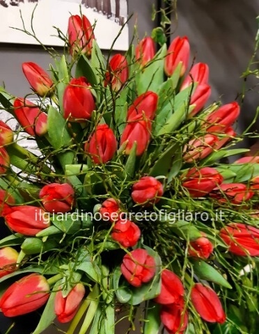 Bouquet di tulipani (colore da concordare in base disponibilità)