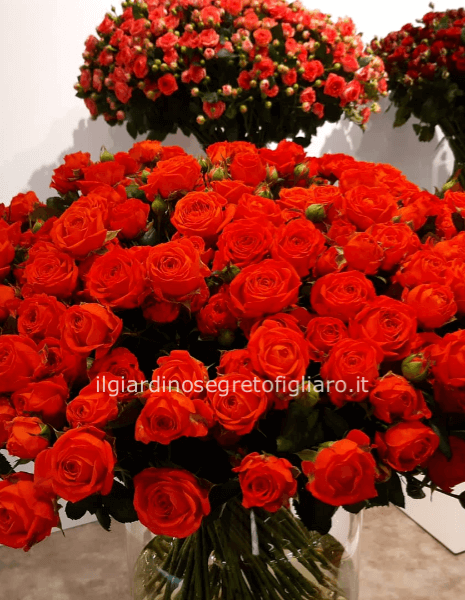 Bouquet con 50 rose rosse elegantemente confezionato